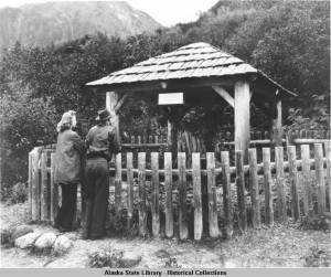 Tree_stump_at_Mendenhall_Glacier